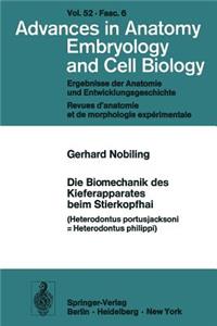 Die Biomechanik Des Kieferapparates Beim Stierkopfhai