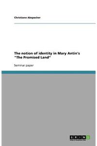 The notion of identity in Mary Antin's The Promised Land