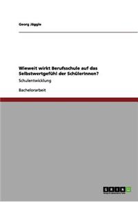 Wieweit wirkt Berufsschule auf das Selbstwertgefühl der SchülerInnen?