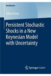 Persistent Stochastic Shocks in a New Keynesian Model with Uncertainty