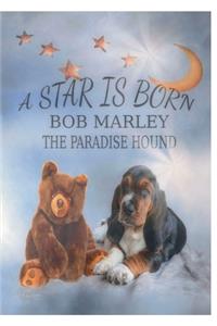 A Star is born - Bob Marley the Paradise Hound