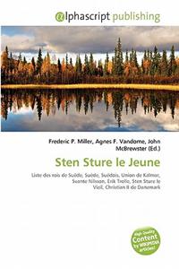 Sten Sture Le Jeune