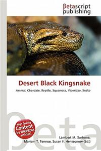 Desert Black Kingsnake