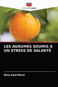 Les Agrumes Soumis À Un Stress de Salinité