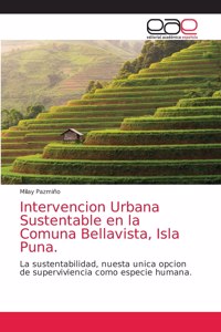 Intervencion Urbana Sustentable en la Comuna Bellavista, Isla Puna.