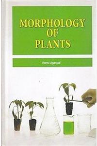 Morphology Of Plants