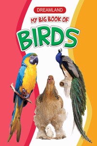 My Big Book Of Birds