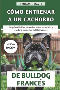 Cómo Entrenar A Un Cachorro De Bulldog Francés