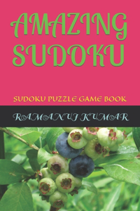 Amazing Sudoku