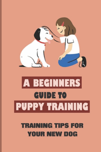 A Beginners Guide to Puppy Training