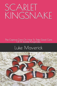 Scarlet Kingsnake