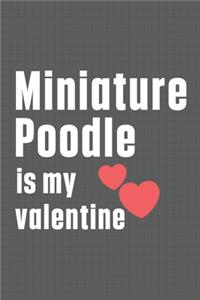 Miniature Poodle is my valentine