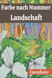 Farbe nach Nummer Landschaft Erwachsene: Ein Adult Color By Numbers Malbuch der Nationalparks mit Landszenen Ansichten, Tiere, Großdruck Design