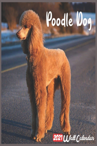 Poodle Dog 2021 Wall Calendar