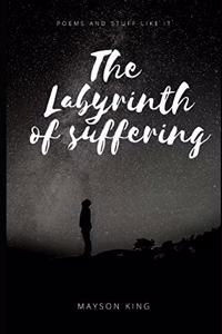 The Labyrinth of Suffering