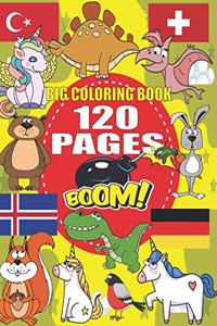 Big Coloring Book