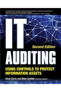 IT Auditing