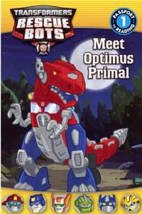 Meet Optimus Prime