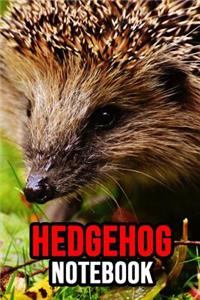 Hedgehog Notebook