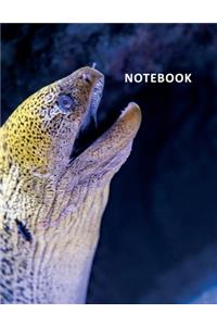 College Ruled Notebook: Giant Moray Eel Cool Student Composition Book Daily Journal Diary Notepad for researching how to become a marine biologist