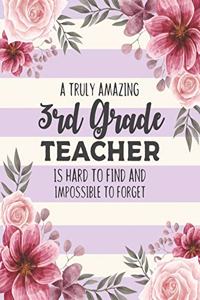 A Truly Amazing 3rd Grade Teacher Is Hard To Find And Impossible To Forget