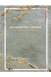 Accounting Ledger for Small Business