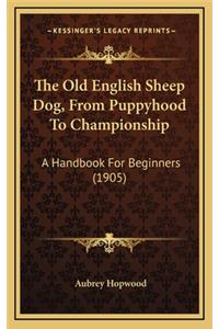 Old English Sheep Dog, From Puppyhood To Championship: A Handbook For Beginners (1905)