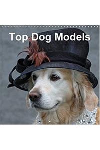 Top Dog Models 2018