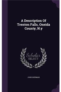 Description Of Trenton Falls, Oneida County, N.y