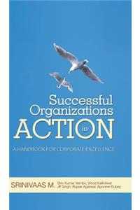 Successful Organizations in Action