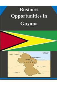 Business Opportunities in Guyana