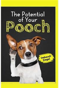 The Potential of Your POOCH