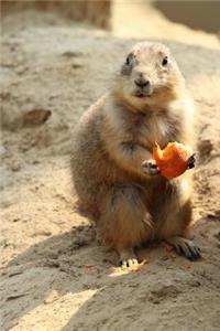 Say Hello to the Prairie Dog Journal