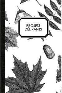 Projets délirants