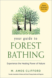 Your Guide to Forest Bathing