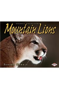 Mountain Lions