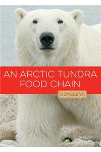 An Arctic Tundra Food Chain