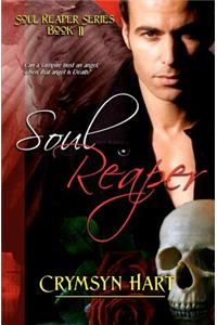 Soul Reaper Series Book II