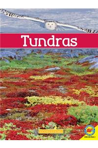 Tundras