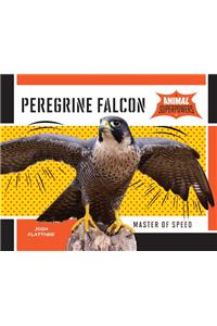 Peregrine Falcon: Master of Speed