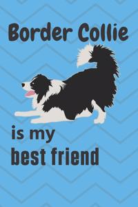 Border Collie is my best friend