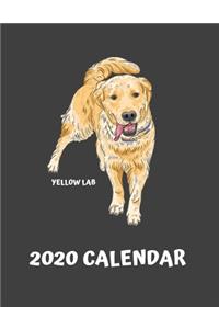 2020 Yellow Lab Calendar