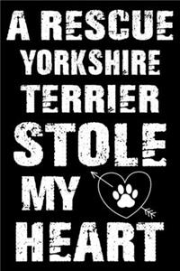 A Rescue Yorkshire terrier Stole My Heart