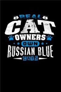 Real Cat Owners Own Russian Blue Cats