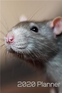 2020 Planner (6x9inch)