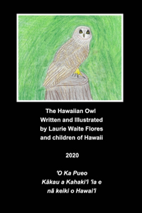 Hawaiian Owl - Pueo