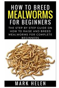 How to Breed Mealworms for Beginners