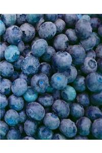 Juicy Blueberries School Composition Book 130 Pages