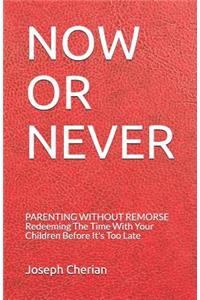 Now or Never: Parenting Without Remorse - Redeeming the Time with Your Children Before It's Too Late