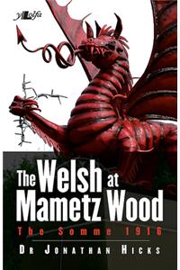 Welsh Of Mametz Wood The Somme 1916